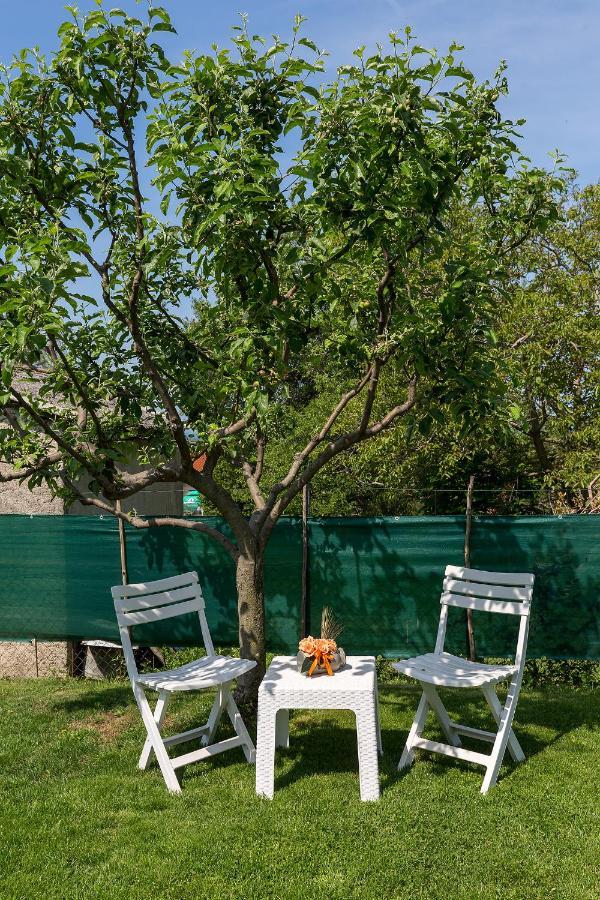House Anna Porec